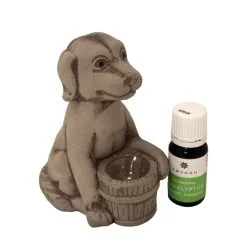 Emendo Saunakoira + Eukalyptus Tuoksu 10 Ml