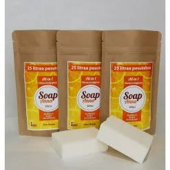 Elsan Ekopaja Soap Anna Sitrus 110 G Siivoussaippua