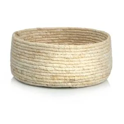 Aina Fanni Maissikori