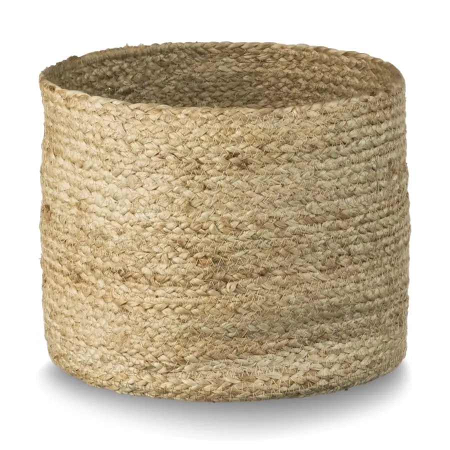 Aina Aavatar Kori 3 Aina Aavatar Kori