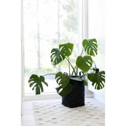 Aina Lastukori -PISLA Myymälä 6438014270524 3