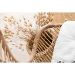 Aina Rauha Rottinkituoli -PISLA Myymälä 6438014278636 4